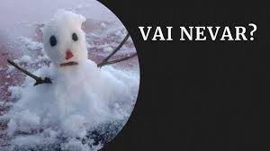 Ao menos 20 mil animais morreram em queimadas de reserva. Onda De Frio E Neve Queda De Temperatura No Sul Do Brasil