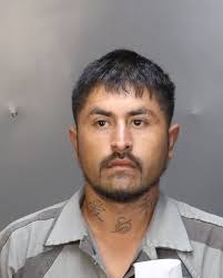 McLennan County Mugshots Application