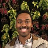 Going Beyond Boundaries: How Allyship Fuels Inclusion