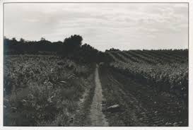 Browse All : Images by Adrian Ensor of Basque Region (France)