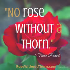 I hope you like these quotes about thorn from the collection at life quotes and sayings. No Rose Without A Thorn French Proverb Rose Without Thorn Is A Lifestyle Blog C Daily Inspiration Quotes Amazing Inspirational Quotes Inspirational Quotes