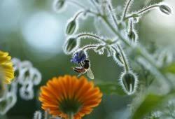 Verwirkliche mein reich auf erden hier und. Leipziger Internet Zeitung Asisi Archiv L Iz De