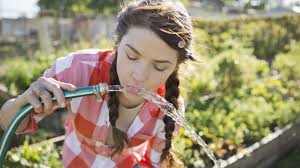 Is It Safe To Drink Water From A Hose