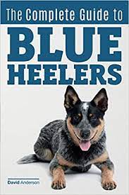 Amazon Fr The Complete Guide To Blue Heelers Aka The Australian Cattle Dog Learn About Breeders Finding A Puppy Training Socialization Nutrition Grooming And Health Care Over 50 Pictures Included