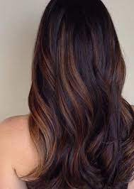 Chocolate Highlights On Black Hair Hair Cool Hair Color Cool Hairstyles
