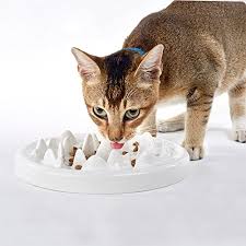 By shawhu aug 26, 2018. Purchase Cat Wet Food Puzzle Up To 62 Off