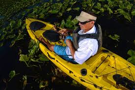 A great kayak for recreational use | frenzy review. Pelican Kayak Reviews In 2021 Fly Fisher Pro