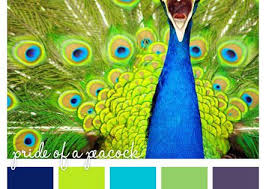 Maybe you would like to learn more about one of these? Color Scheme Black White With Peacock Colors Navy Aqua Art At Repinned Net