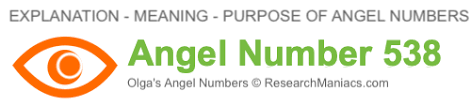 It's the total number of electoral votes in the u.s. Angel Number 538