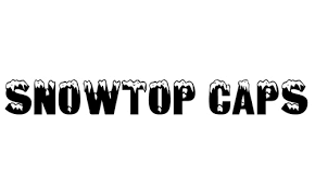 Free Free 305 Snow Font Svg SVG PNG EPS DXF File