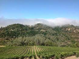 תמונה של ‪o'shaughnessy estate winery‬, ‪angwin‬: O Shaughnessy Estate Winery Angwin Aktuelle 2021 Lohnt Es Sich Mit Fotos