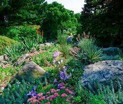 Maybe you would like to learn more about one of these? A Visit To Brooklyn Botanic Garden Plant Article Alpine Garden Society