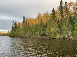 Superior national forest, located in. Sawbill Lake In The Bwca