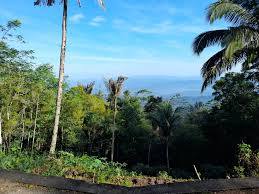 Wisata Desa