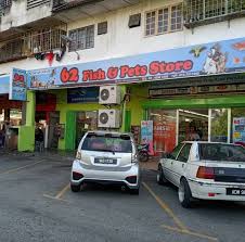 Contact person jasintha augustine tel(main): Damai Service Hospital Hq Jalan Ipoh Home Facebook