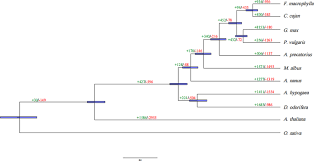 Image result for Eriosema rhynchosioides