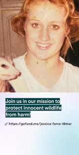 Steadfast Wildlife Rescue Rehab Inc