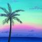 Let the Sea Set You Free