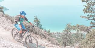 Good mountain bike brands australia. How To Choose A Mountain Bike Mtb Bike Buying Guide Reid Cycles