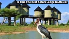 Liv Kenya | Salt Lick Safari Lodge Kenya | Is It Worth The Cost ...