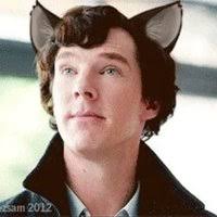 Brad Chen (@bradchen88)