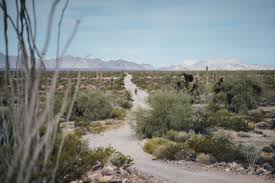 Apart from showing you the exact route you need to take to reach your destination, google maps™ is also an excellent route planner, allowing you to select the shortest, cheapest, or the most scenic way to a particular point. El Camino Del Diablo Bikepacking Route Bikepacking Com