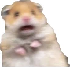 The image is png format with a clean transparent background. Hamster Animal Funny Scare Love Sticker By Channel54