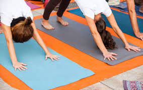 We did not find results for: Awake Yoga Teacher Training Yoga En Red