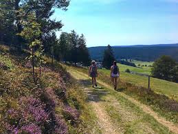 Изучайте релизы humbert ibach на discogs. Sudschwarzwald Wandern Mit Blick Auf Ibach People Abroad
