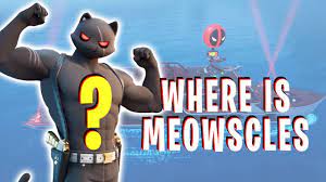 Where is MEOWSCLES After Deadpool Yacht *NEW* Meowscles Location - YouTube