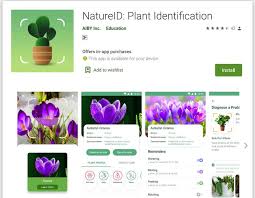 What if you're in the woods and there are no people who know about it? 8 Best Tree Identification Apps 2021 For Android Ios