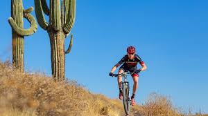 The saguaro fruit begins to mature between 31 and 45 days after fertilization. Mtb Stars Head To Specialized Cactus Cup For Early Season Racing Velonews Com