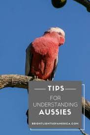 Australian Words And Phrases That Americans Don T Understand Expat Life Work Overseas Traveling By Yourself