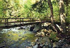 100 Best Adirondacks Images In 2019 Lake George Adirondack Mountains Adirondack Park