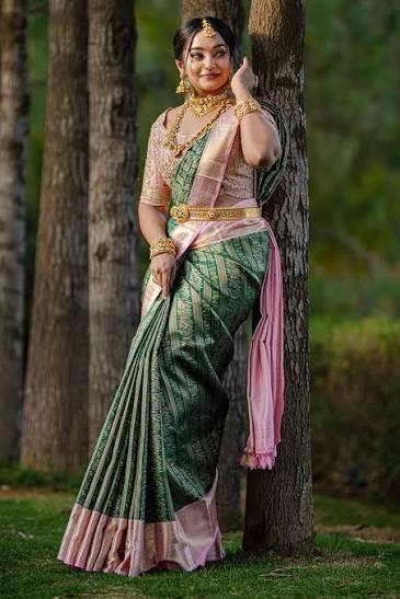 Mint Green Silver Border Kanchi Saree