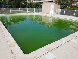 Eau De Piscine Verte Que Faire Ferre Piscines A Allauch On Vous Aide A Rattraper Votre Eau Ferre Piscines
