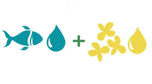 Shipmanager and other services provided by pnsl ship management sdn bhd located in , malaysia. Epa Dha For The Masses Cargill Unveils Cost Effective Drop In Solution For F B Omega 3 Fortification
