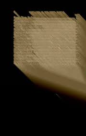 The Steen family in Europe and America : a genealogical, historical and  biographical record of nearly three hundred years, exten