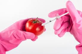 Through genetic modifications, these types of food are added with vitamins and minerals to ensure they offer greater nutritive benefits to consumers, which is really. Pros And Cons Of Genetically Modified Organisms Gmo S Conserve Energy Future