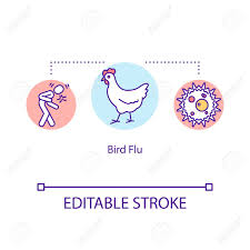 What are the symptoms of avian flu in humans? Bird Flu Concept Icon Avian Influenza Sickness Symptoms Disease Royalty Free Cliparts Vectors And Stock Illustration Image 140795305