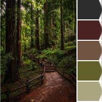 I Just Spotted The Perfect Colors Enchanted Forest Coloring Forest Color Living Room Themes