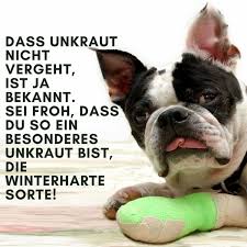 Pin Von Elkehueppler Auf Gute Genesung In 2020 Gute Besserung Wunsche Gute Besserung Spruche Wunsche Zur Genesung