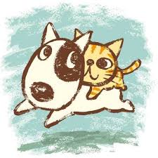 Dog And Cat On Character Design Served Cats Illustration Cat Art Cute Drawings