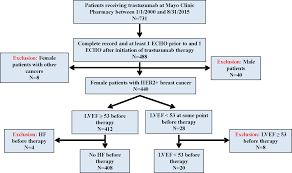 Herceptin works by attaching to the her2 protein and blocking it from receiving growth signals. Trastuzumab In Female Breast Cancer Patients With Reduced Left Ventricular Ejection Fraction Journal Of The American Heart Association