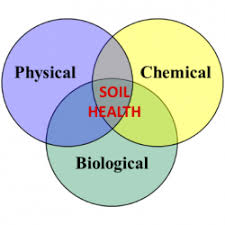 This circle provides information on the ahs core content. Nmsu Soil Health
