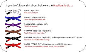 Jj is not level in your jiu jitsu knowledge need to evolve but so does your character in order to advance in the belts. Jiu Jitsu Belts Humor Jiu Jitsu Brasileiro Jiu Jitsu Memes Em Portugues