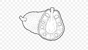 Cartoon durio zibethinus mask , durian png clipart. Fruit Cartoon Png 600x470px Jackfruit Coloring Book Drawing Durian Fruit Download Free