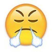 Face With Look Of Triumph Angry Emoji Emoji Emoticon