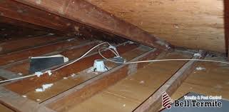 Pest control results after treatment vary on a number of factors: Attic Cleaning Attic Sanitation Attic Decontamination Attic Rodent Control Professional Pest Exterminators Bell Termite Control Attic Cleaning In Orange County Attic Cleaning In Riverside County Attic Cleaning In San Bernardino County