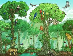Animals that live in the tropical rainforests include birds like parrots, the collared sunbird, the. What Are Plants That Live In The Rainforest Answered Twinkl Teaching